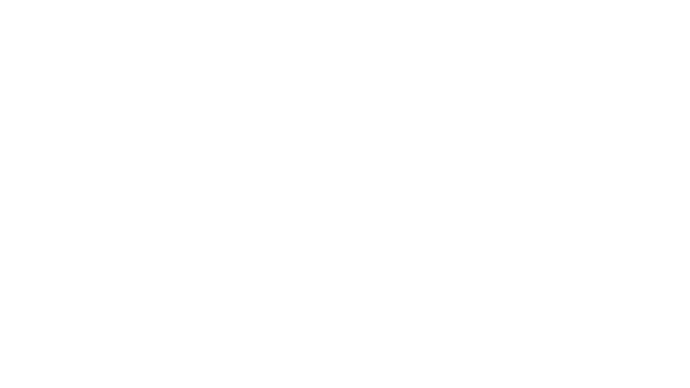mis.png