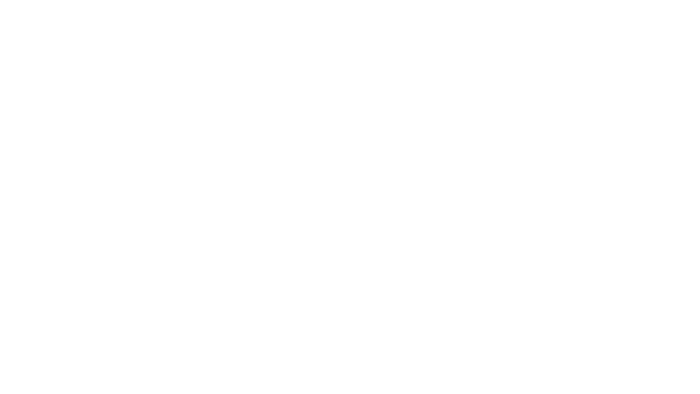suz.png