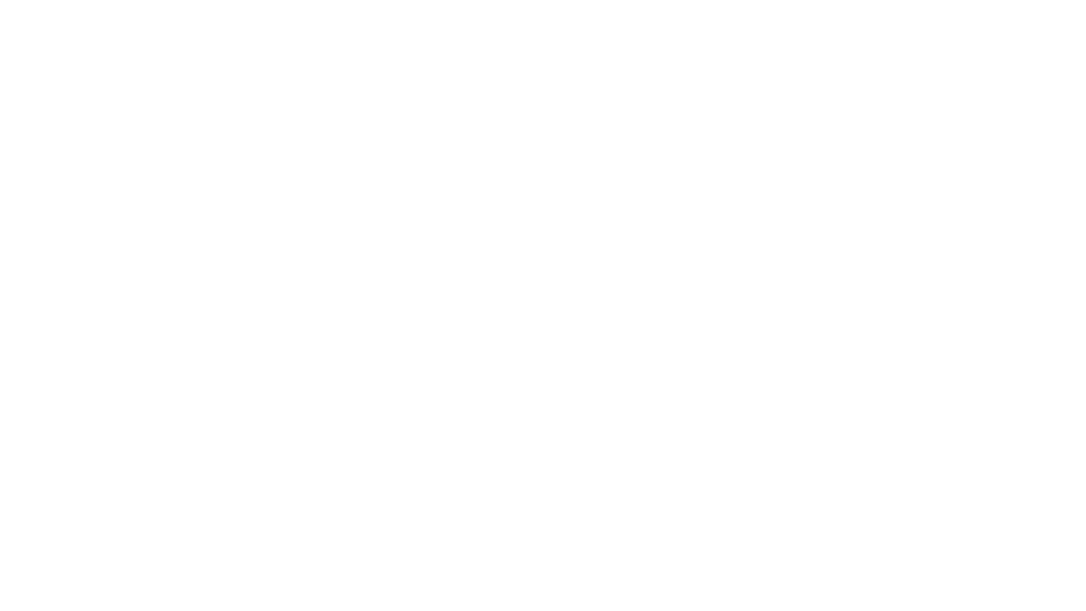 vol.png